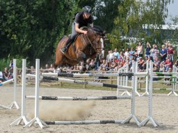 _DSC7875_web